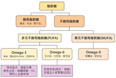 omega 6 發炎|omega 3 脂肪酸.